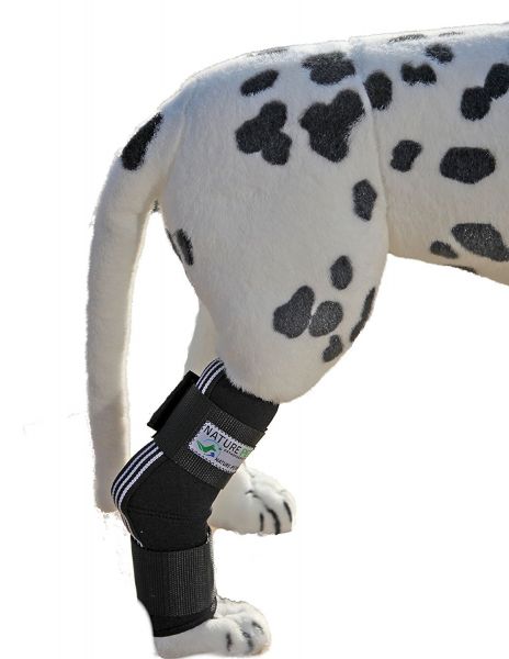  Tarsalgelenk Bandage für Hunde